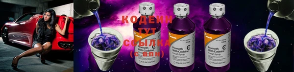 крисы Наволоки