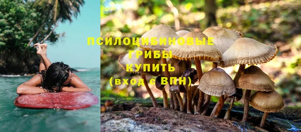 гидропоника Новозыбков